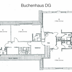 Grundriss Buchenhaus DG