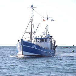 Fehmarn Ostsee Bootsfahrt DG 7